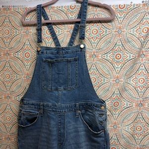 NWT Denim Overalls - Universal Threads - Size 14